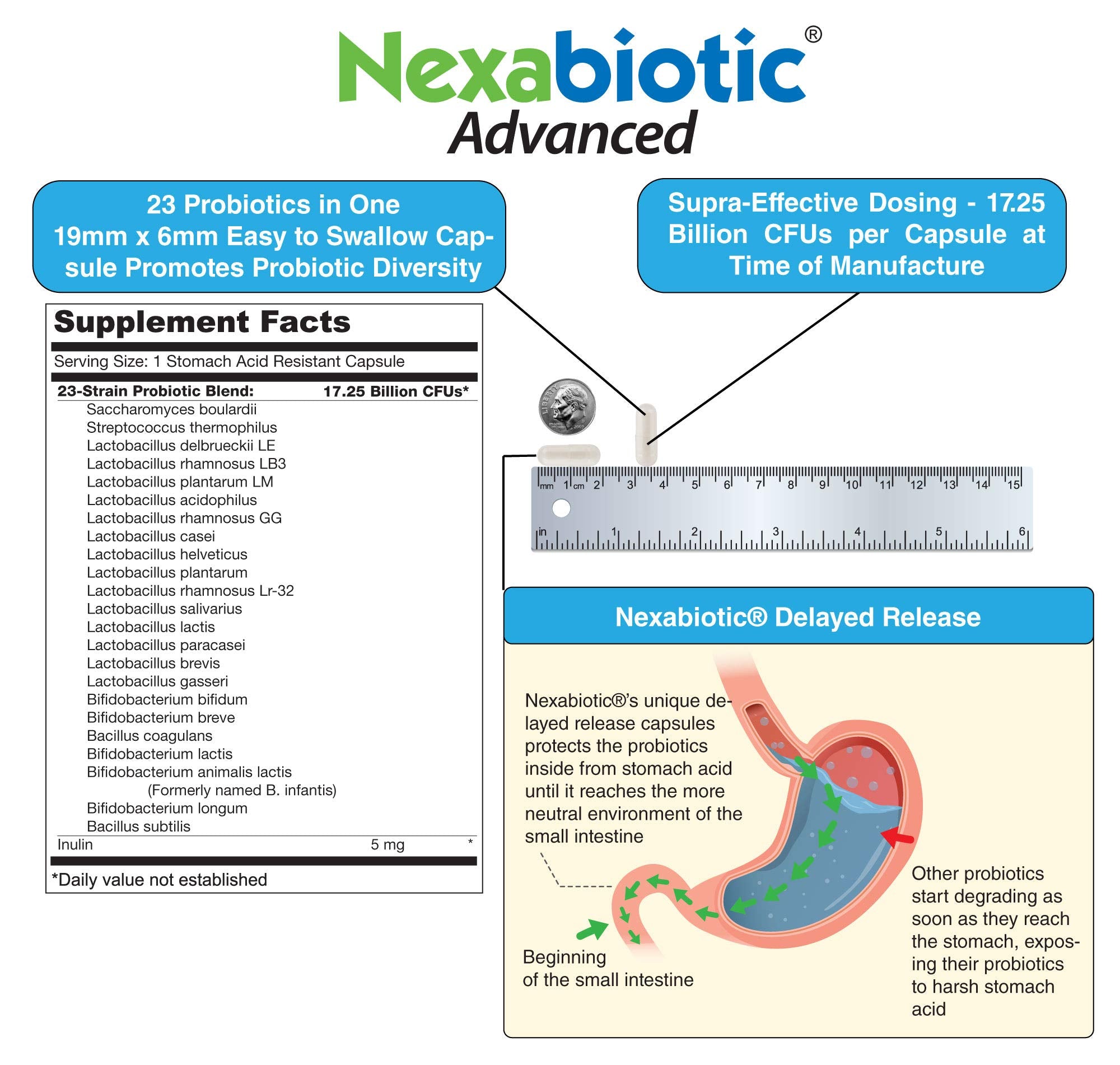 Tiny delayed-release Nexabiotic capsules designed for easy swallowing