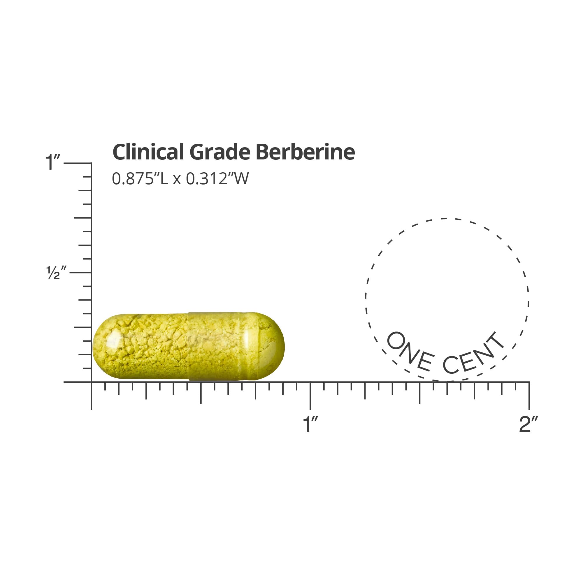 DR.WHITAKER Berberine capsules close-up for consistent dosing