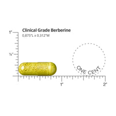 DR.WHITAKER Berberine capsules close-up for consistent dosing