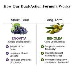 Durable grape seed extract capsules highlighting OPC-rich formula for healthy vessels.
