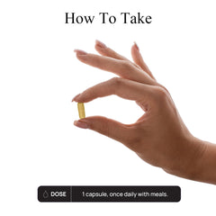 Durable CoQ10 phytosome in-use demonstrates convenient once-daily routine.