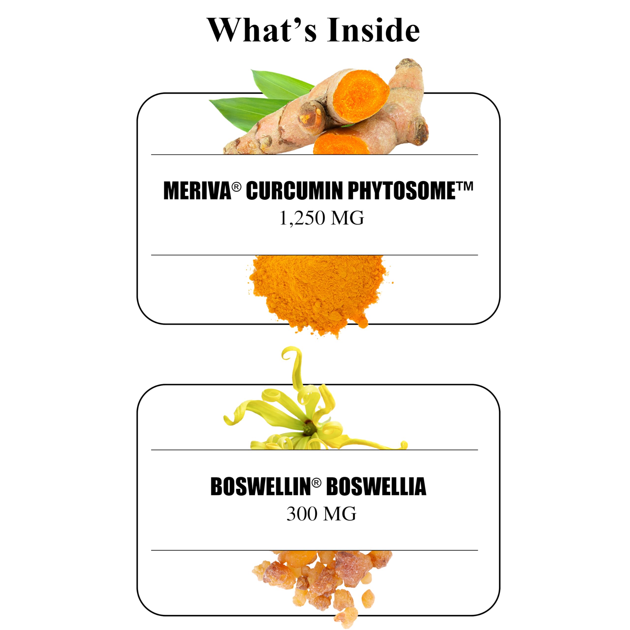 Durable Turmeric quality seal indicating third-party testing and purity.