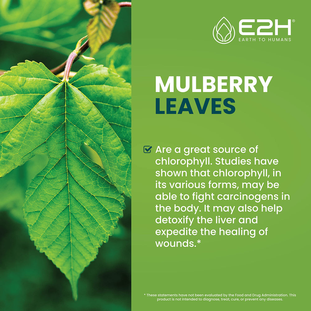 E2H Chlorophyll drops in water create a vibrant, energizing green beverage.