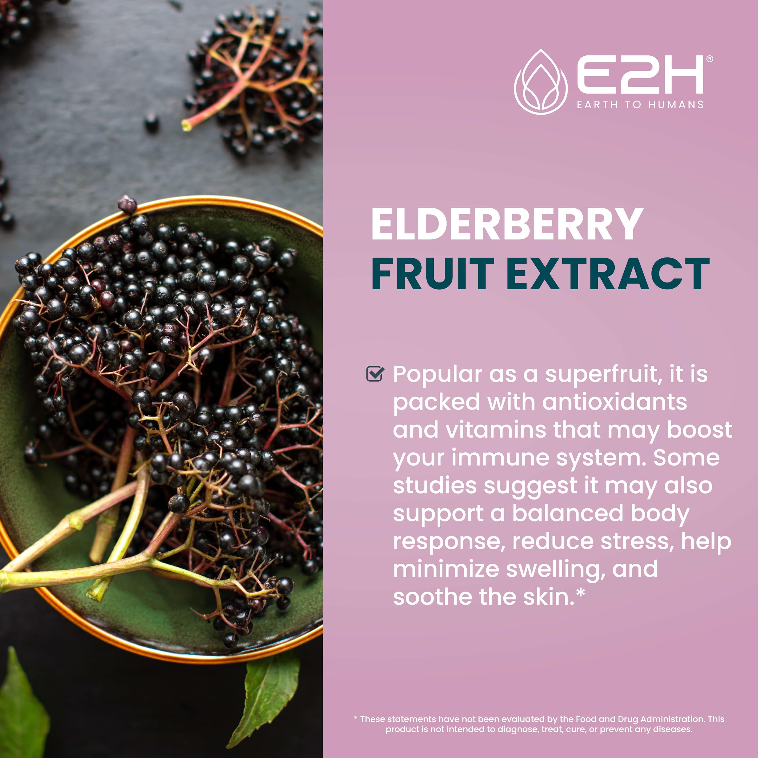E2H Elderberry Syrup ingredients label highlights vegan, non-GMO formulation.