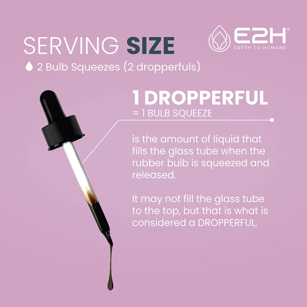 E2H Elderberry Syrup kid-friendly serving helps gentle daily intake.