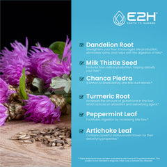 E2H liquid formula close-up highlights natural ingredients and herbal aroma.