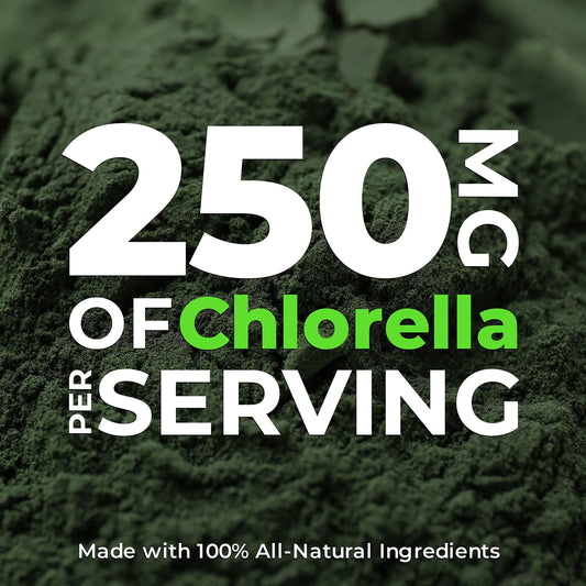 Earth Circle Organics chlorella tablets ingredients panel shows clean, non-GMO formula.