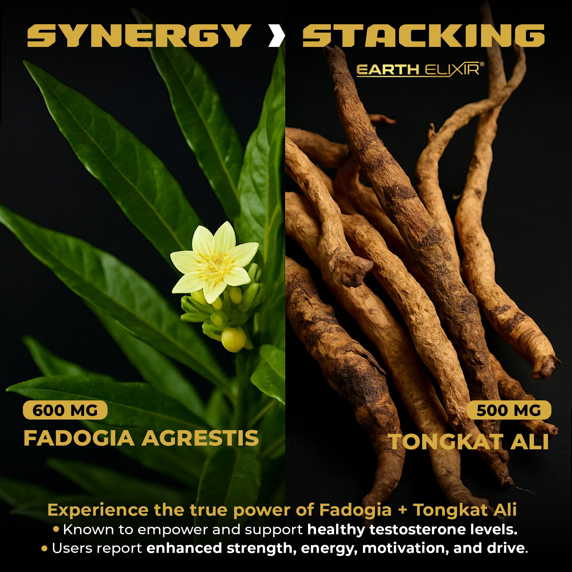 Earth Elixir capsules closeup showing dosed strength per serving