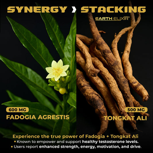 Earth Elixir capsules closeup showing dosed strength per serving