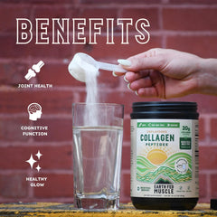 Earth Fed Muscle collagen powder in smoothie highlights protein boost without aftertaste.