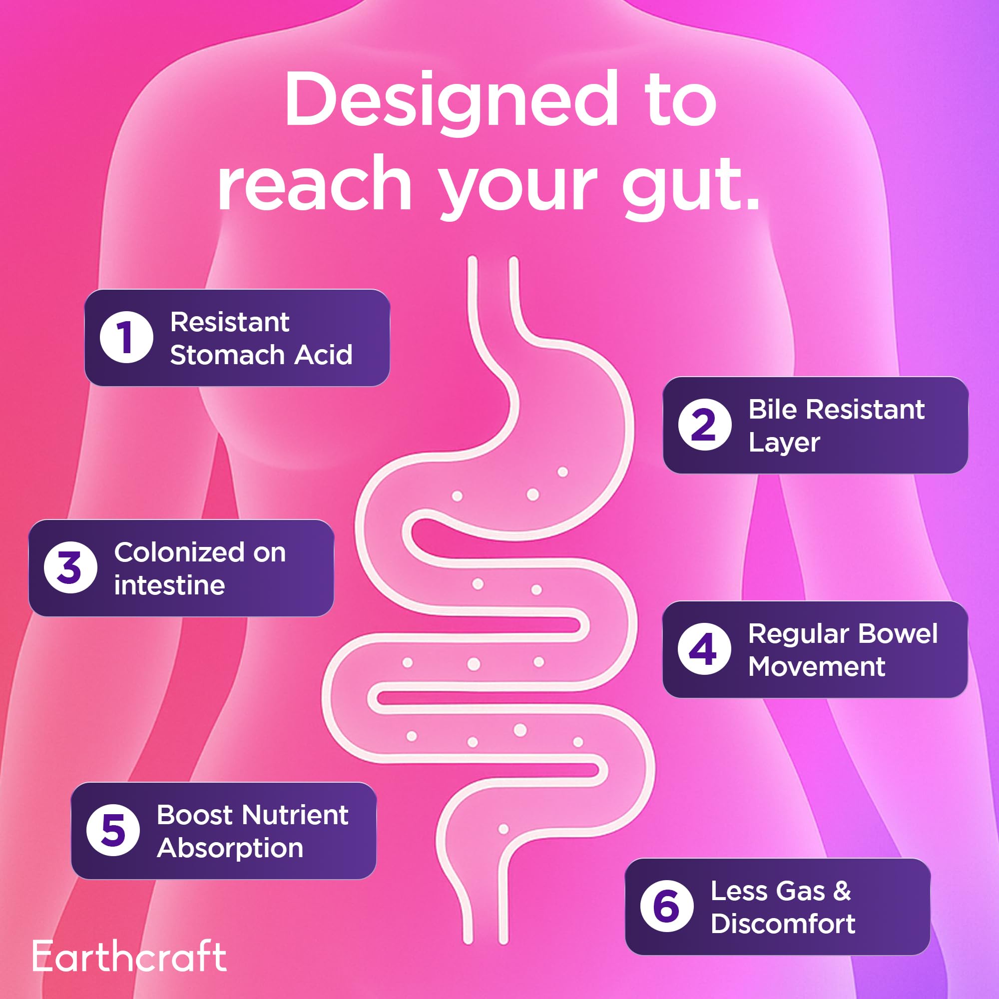 Earthcraft Probiotics prebiotics blend with FOS and Inulin supporting growth.