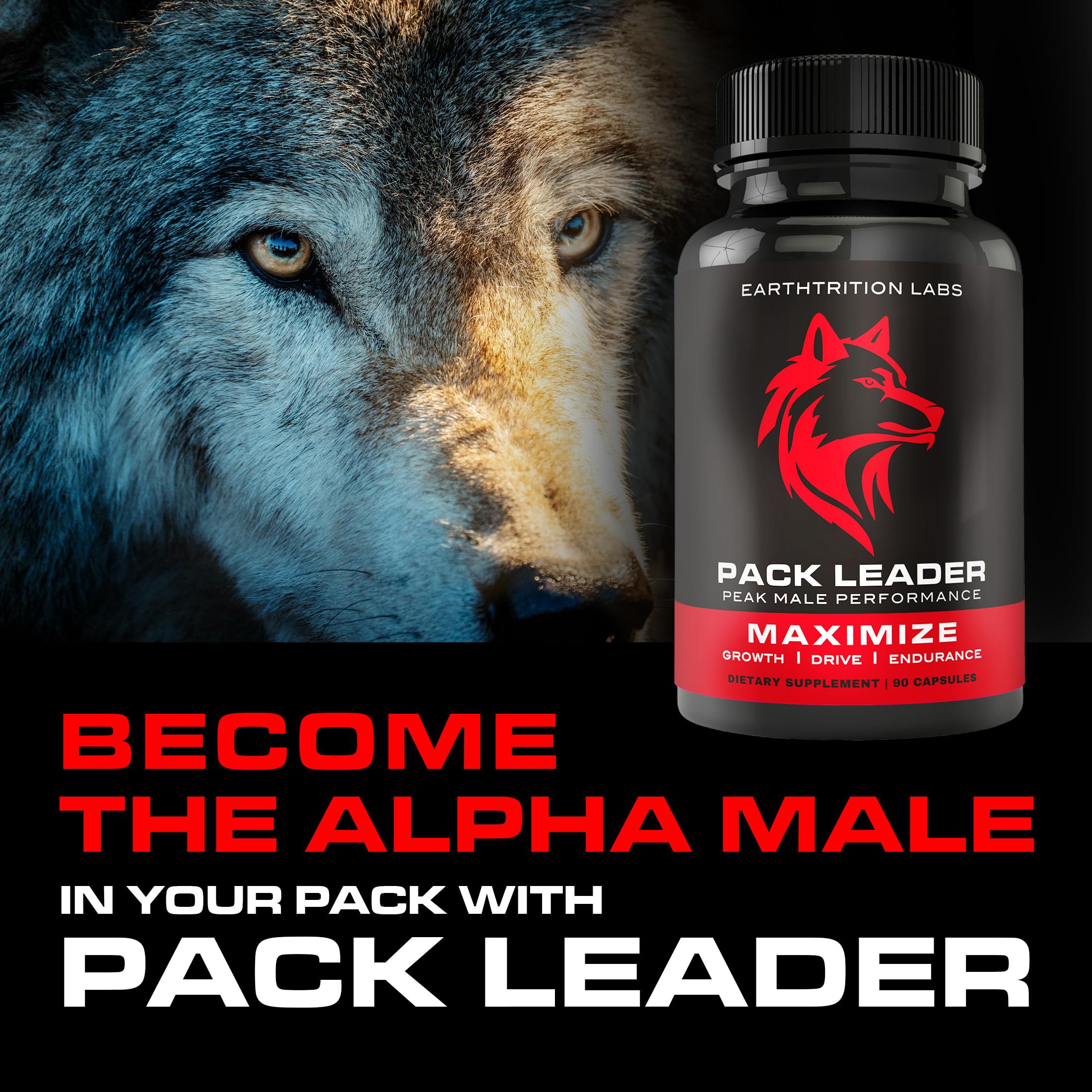 Earthtrition Labs Pack Leader gym scene highlighting strength and stamina benefits