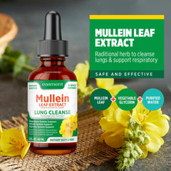 Easment Mullein Drops label close up showing minimal ingredients