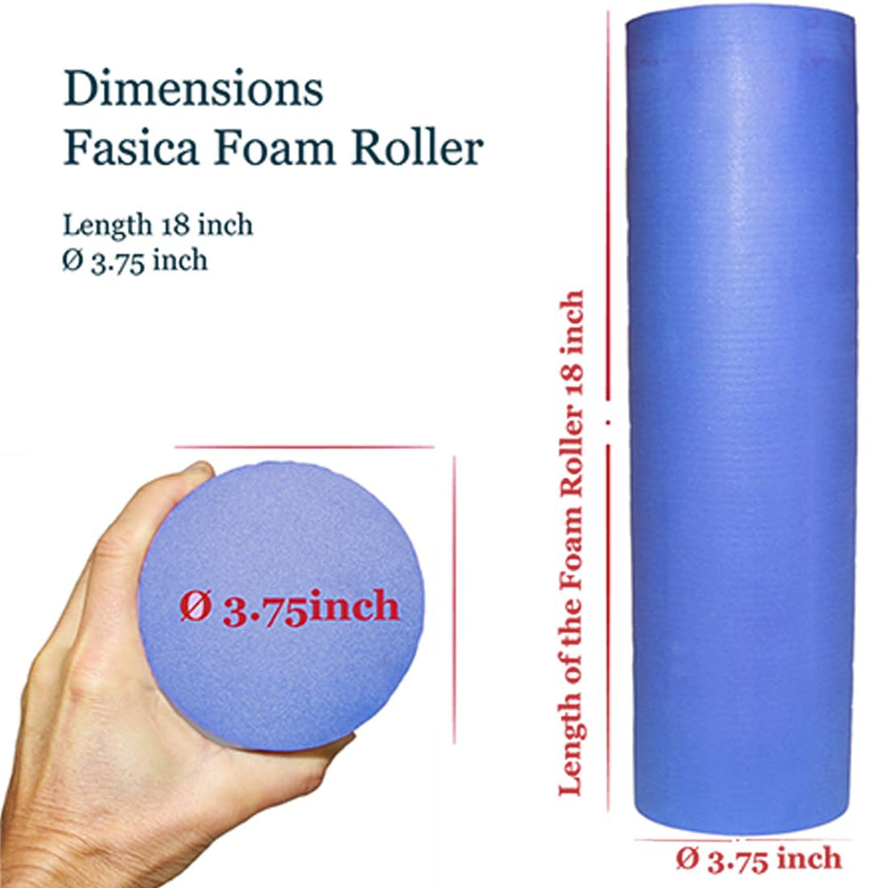 EasY FoxY ToY foam roller travels easily for on-the-go recovery.