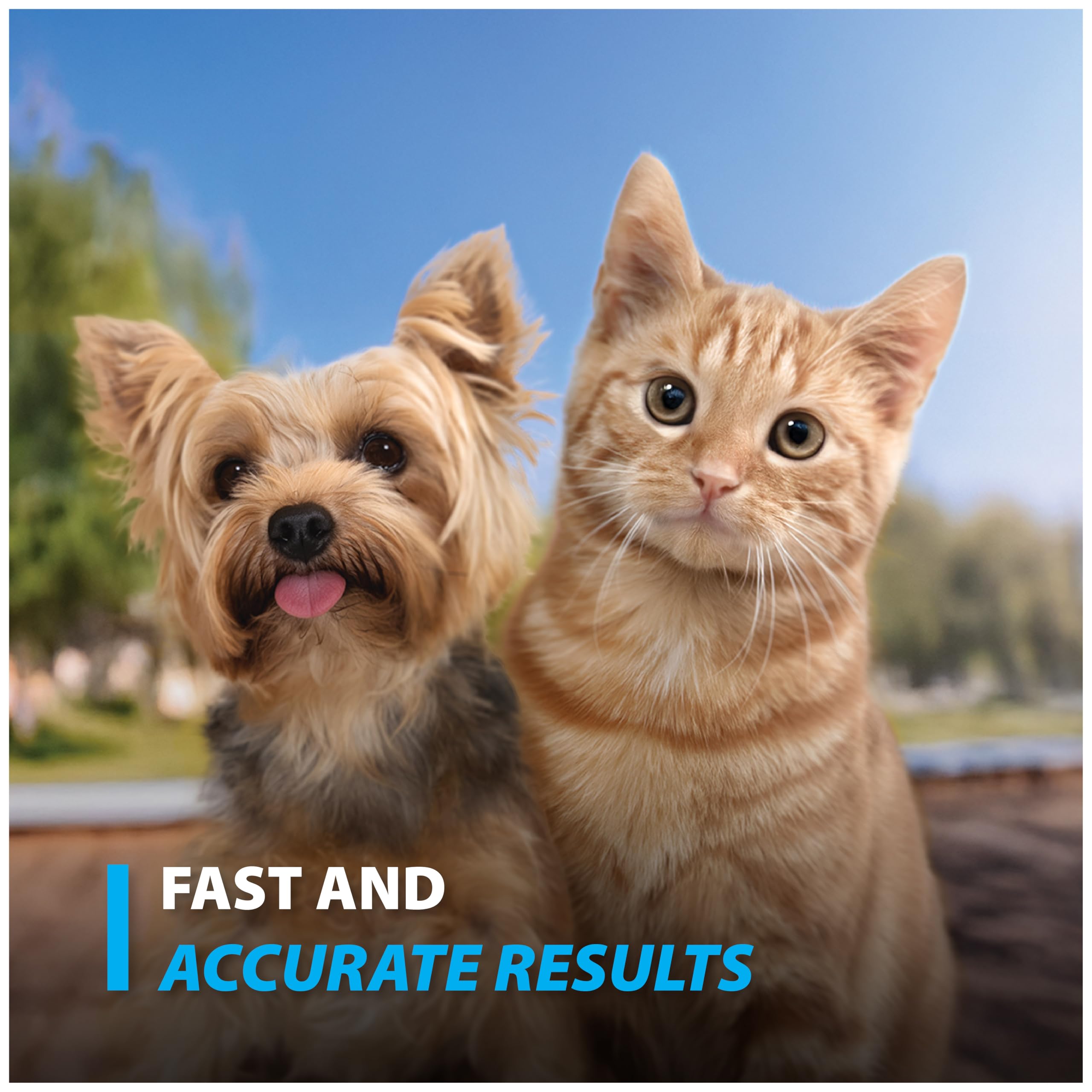 Easy Touch pet glucose strips in use with dog illustration shows routine testing in action.