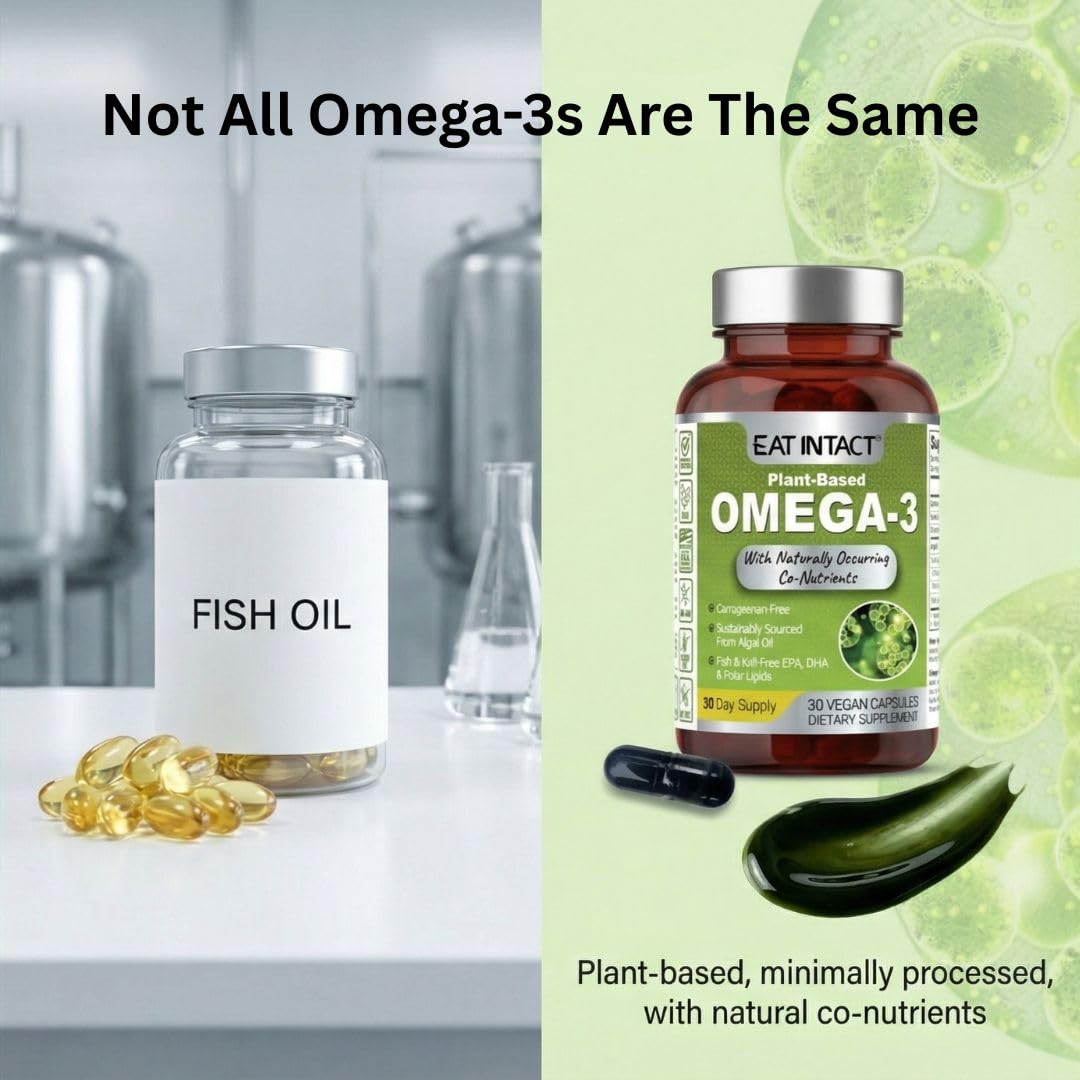 EAT INTACT algae oil bottle highlights carrageenan-free, non-GMO omega-3 formula.