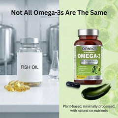 EAT INTACT algae oil bottle highlights carrageenan-free, non-GMO omega-3 formula.