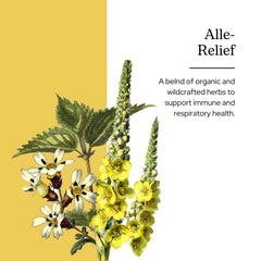 Alle-Relief Kids bottle label highlights vegan, non-GMO formula for parents.
