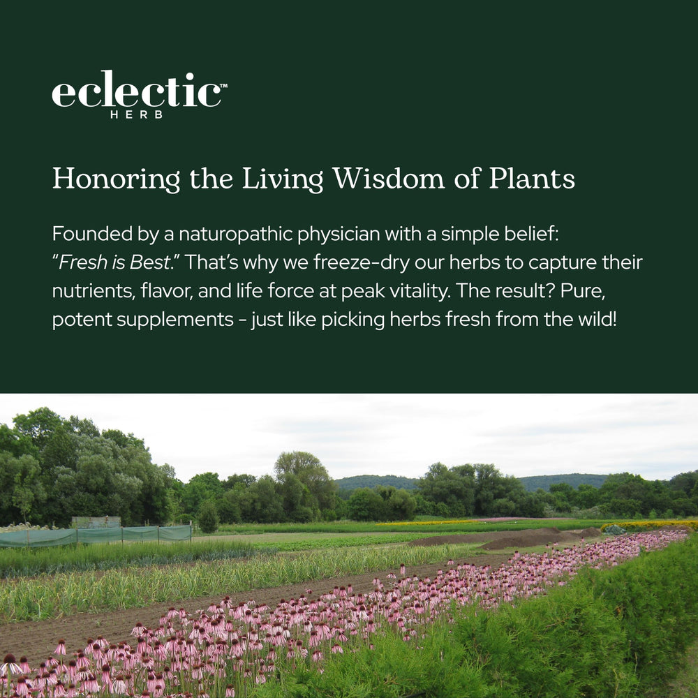 Eclectic Institute Slow-motion beet powder dispense reveals fine texture.