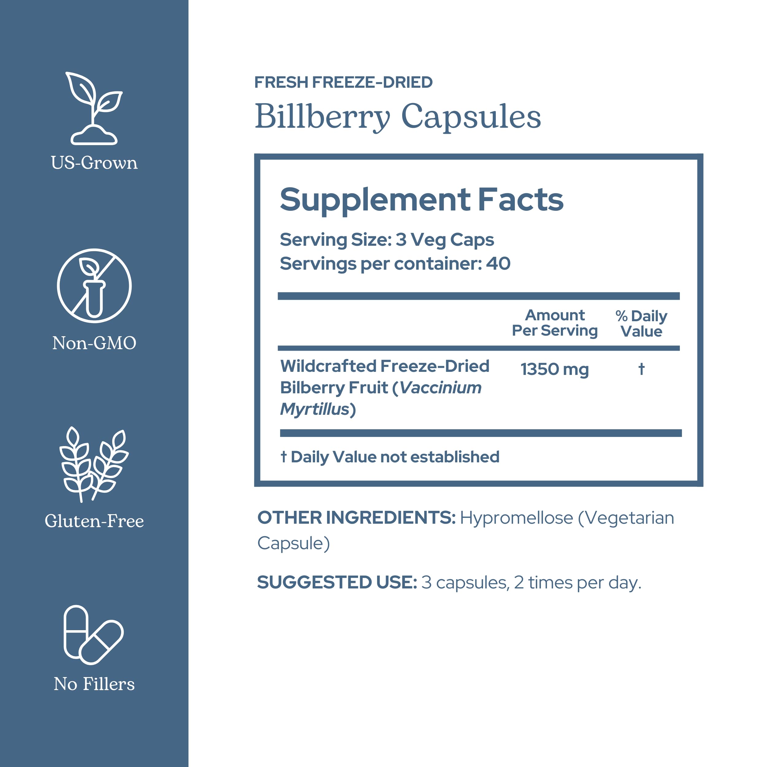 Eclectic Institute Bilberry Capsules close-up of polyphenols for circulatory health cues