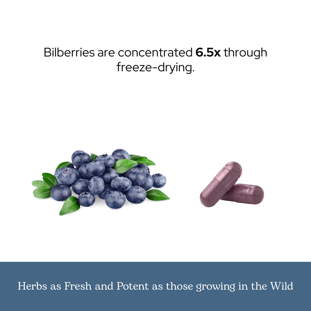 Eclectic Institute Bilberry Capsules capsules arranged for daily potency reminder