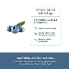 Eclectic Institute Bilberry Capsules vegan gluten-free clean label depiction
