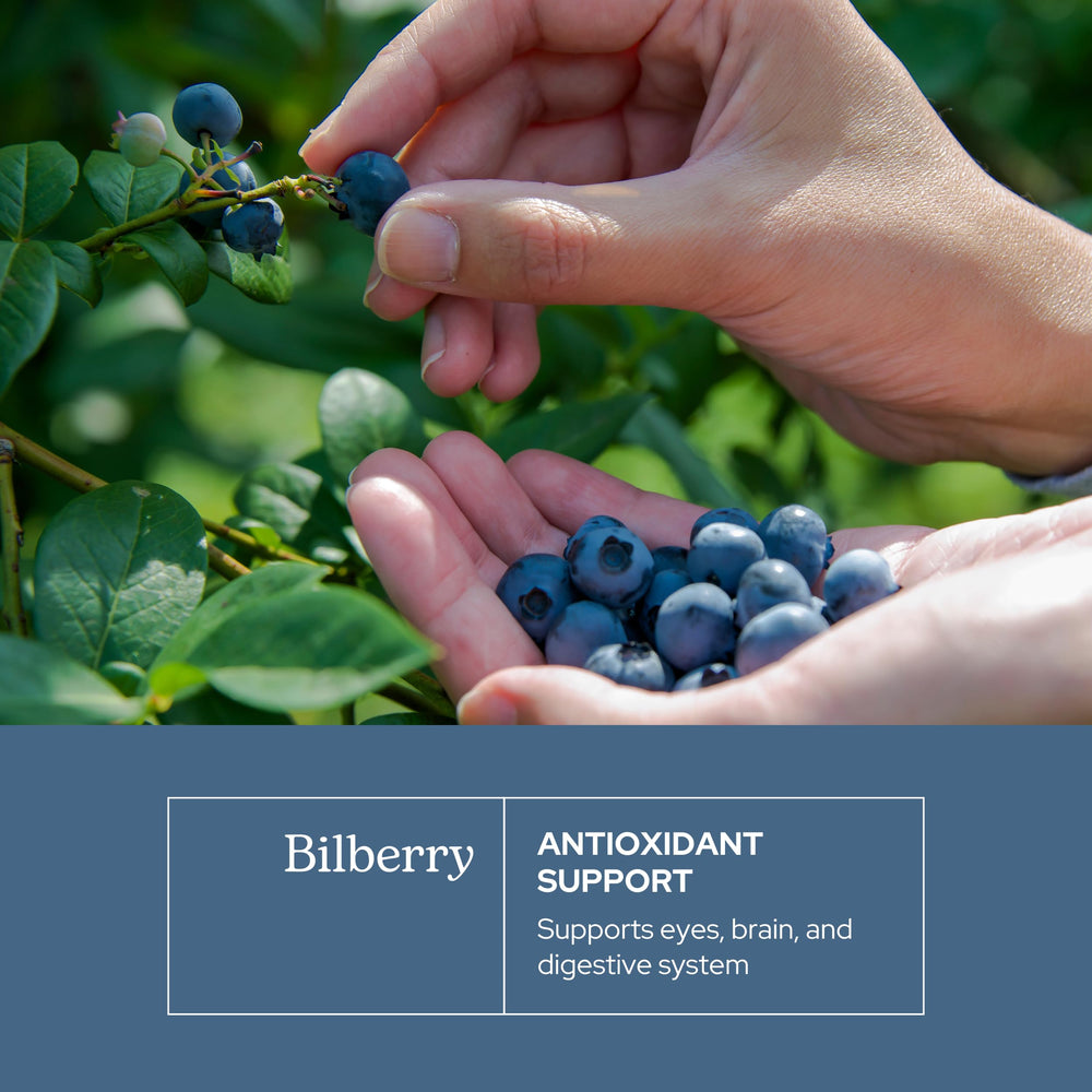 Eclectic Institute Bilberry Capsules wildcrafted bilberries highlighting fresh potency