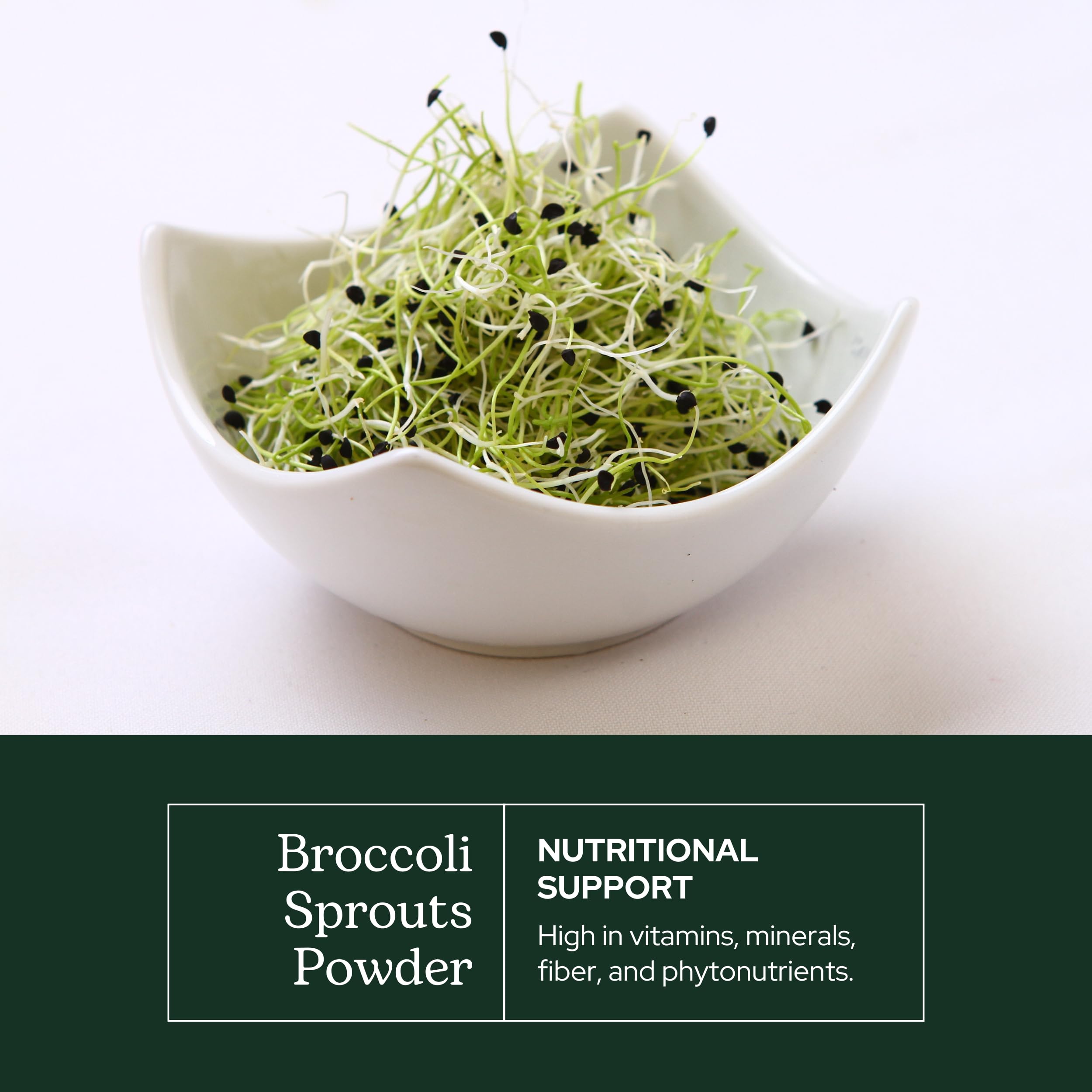 Close-up of freeze-dried broccoli sprouts powder texture ideal for smoothies