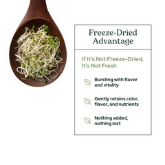 Spoonful of broccoli sprouts powder over breakfast bowl visualization