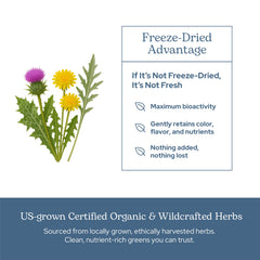 ECLECTIC INSTITUTE Eclectic Herb beet root focus suggesting nutrient-rich detox.