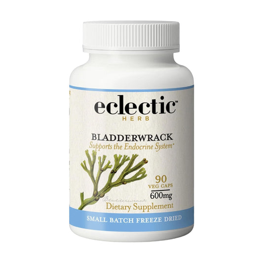 ECLECTIC INSTITUTE Eclectic Herb bladderwrack bottle front view supports endocrine health and skin vitality