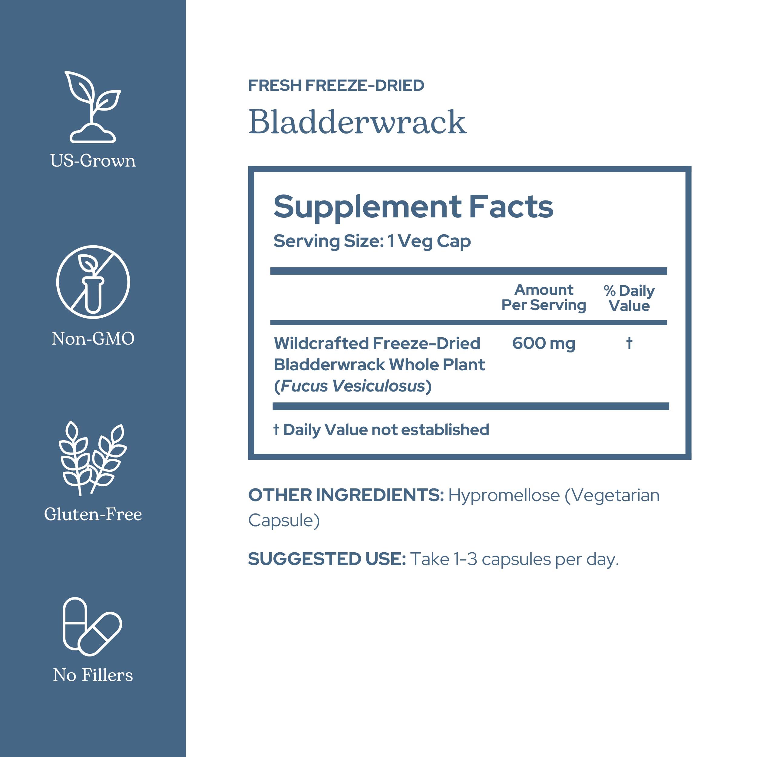 ECLECTIC INSTITUTE Eclectic Herb bladderwrack bottle side view for easy daily use