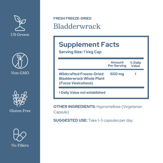ECLECTIC INSTITUTE Eclectic Herb bladderwrack bottle side view for easy daily use
