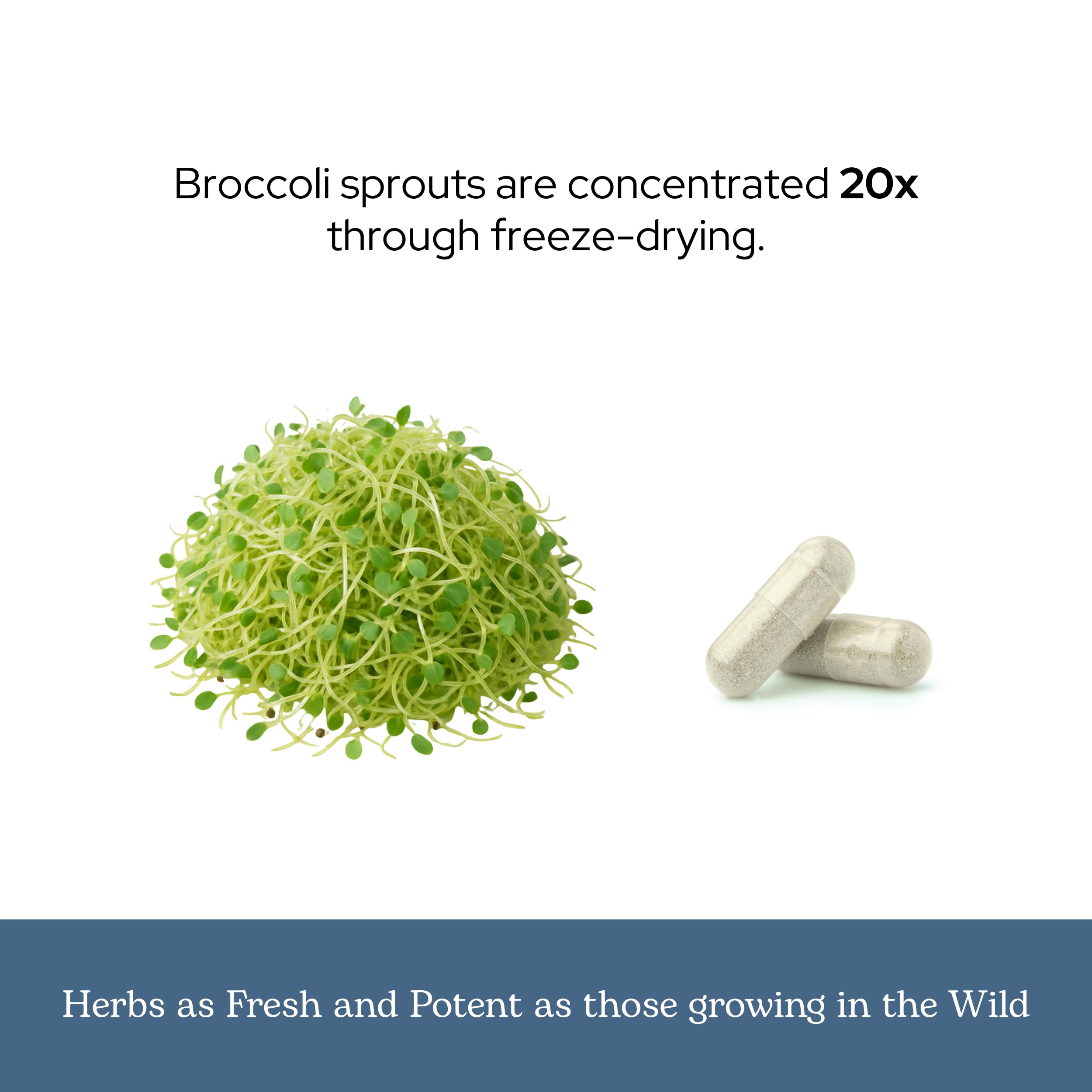 In hand shot communicates portable daily supplement for on the go.