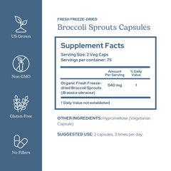 ECLECTIC INSTITUTE Eclectic Herb broccoli sprouts capsules pack emphasizes antioxidant rich plant based support.