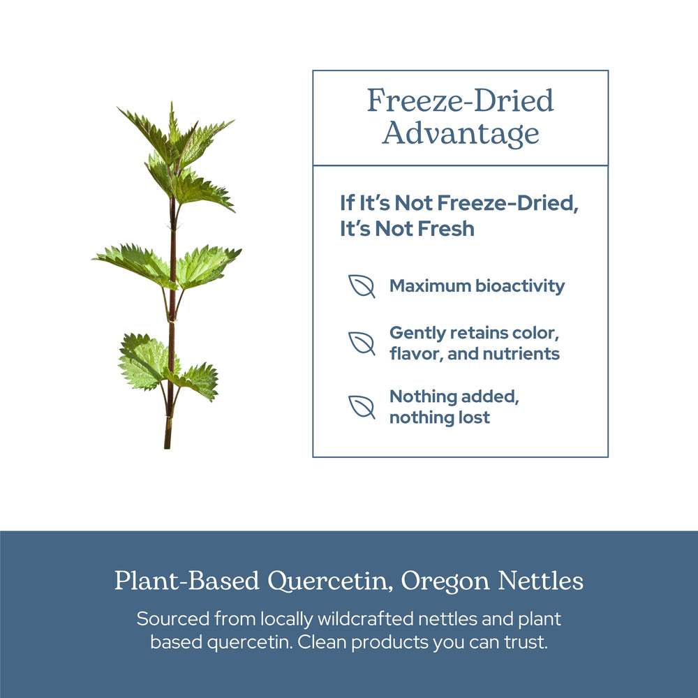 Freeze-drying preserves minerals and plant energy in Eclectic Herb nettle