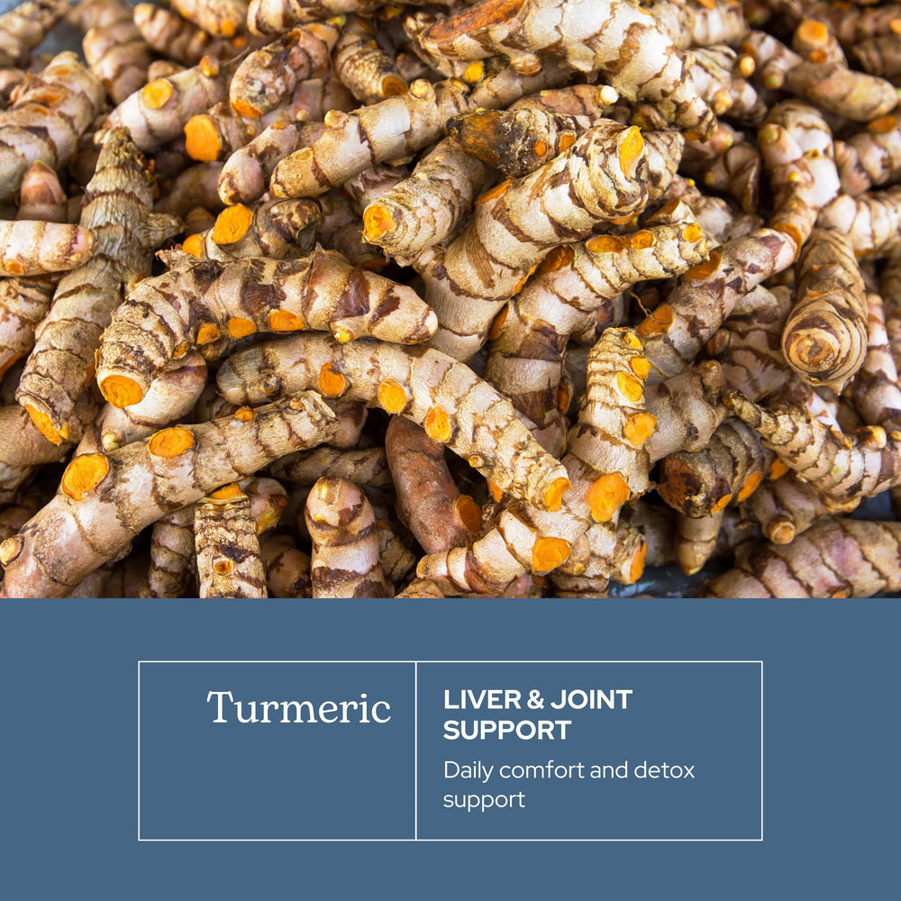 Eclectic Institute Eclectic Herb freeze-dried turmeric pieces retain nutrients for daily use.
