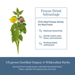 Eco-conscious packaging highlights non-GMO gluten-free vegan attributes of Eclectic Herb Lymph.