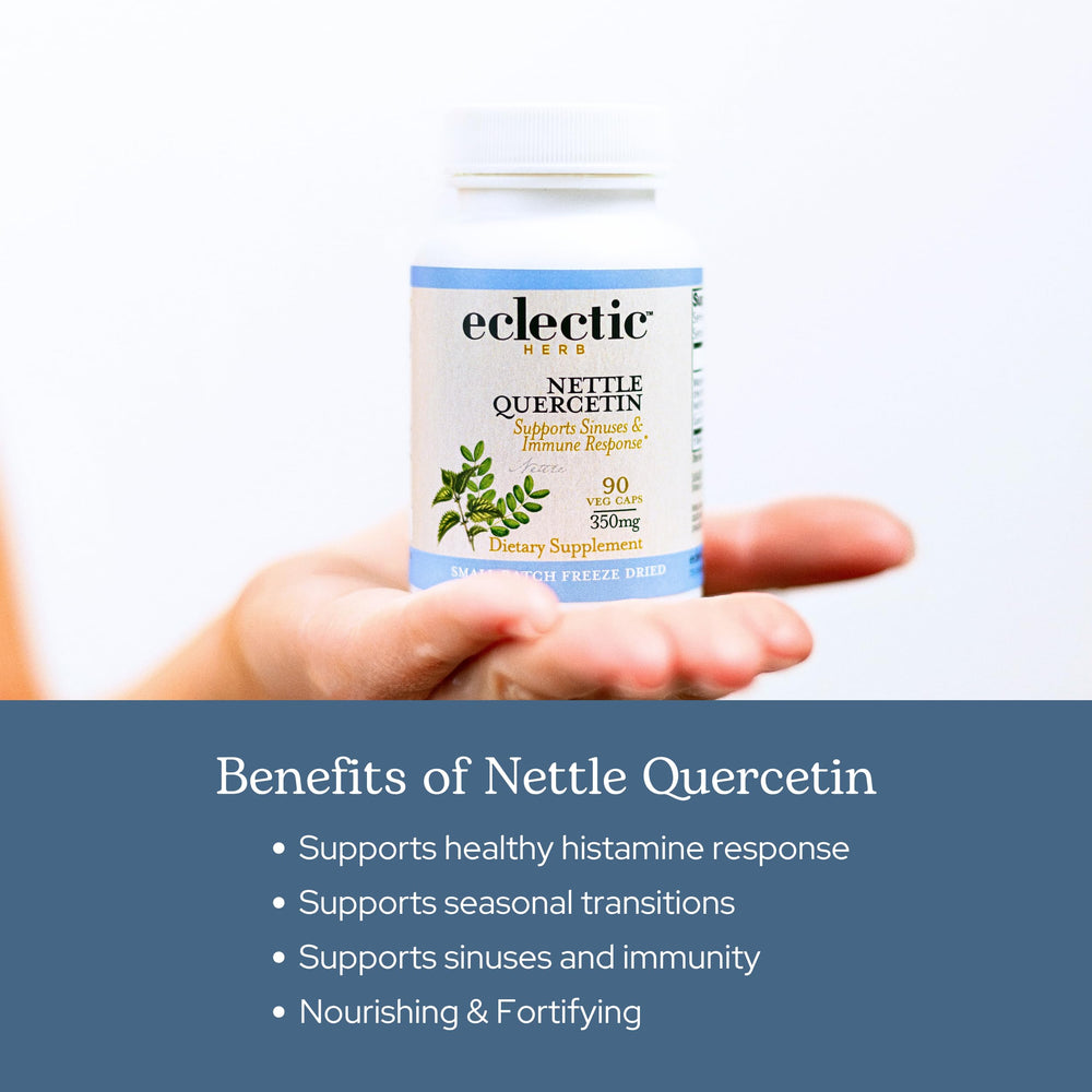 Wildcrafted nettle plant from Oregon under Eclectic Herb branding