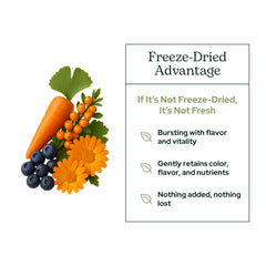 Eclectic Institute Eye Food Powder sea buckthorn visual ingredients in focus