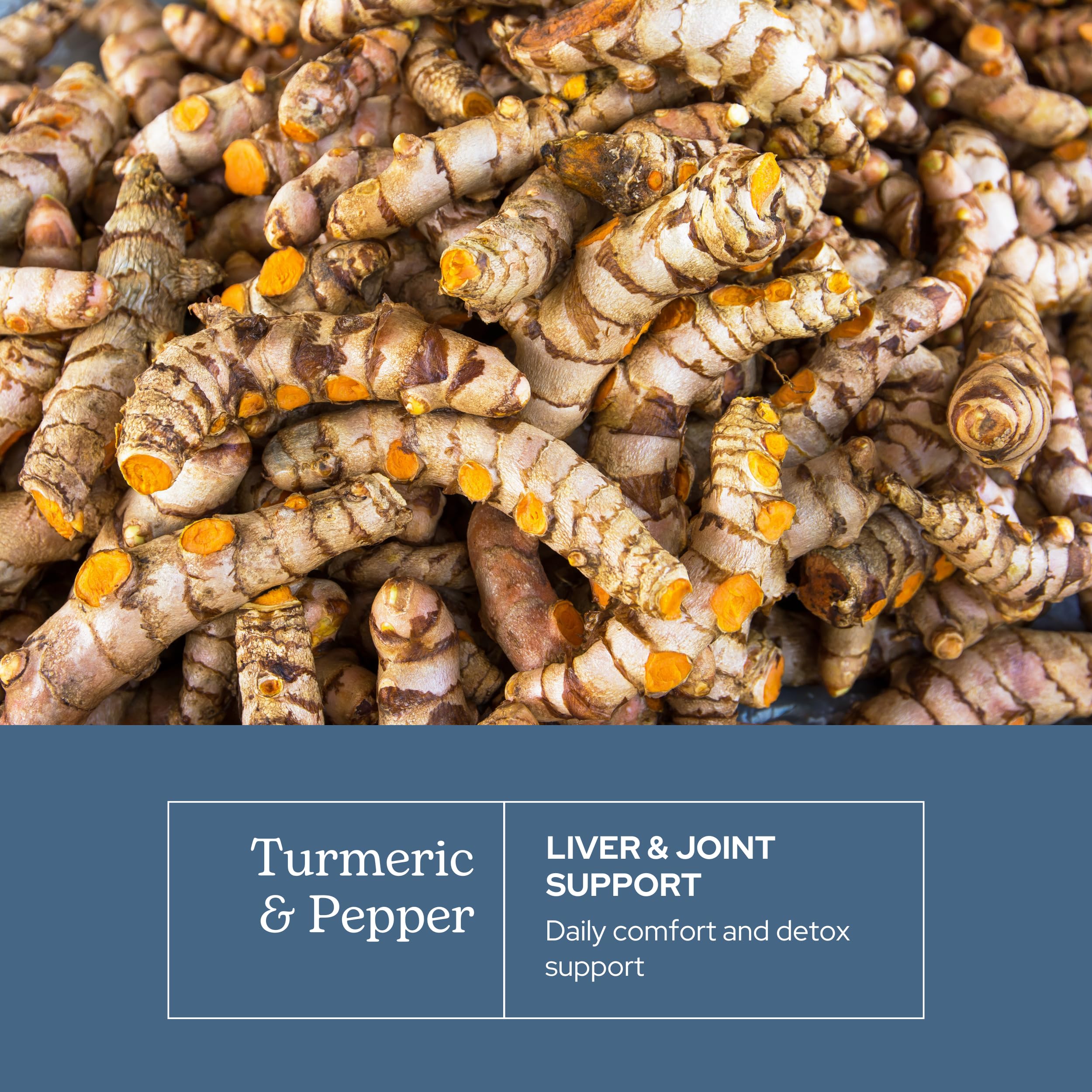 Eclectic Institute Hawaiian turmeric with green peppercorn visual highlights potency.