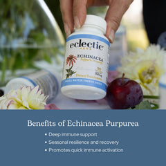 Lab-tested potency badge on ECLECTIC INSTITUTE echinacea ensures quality
