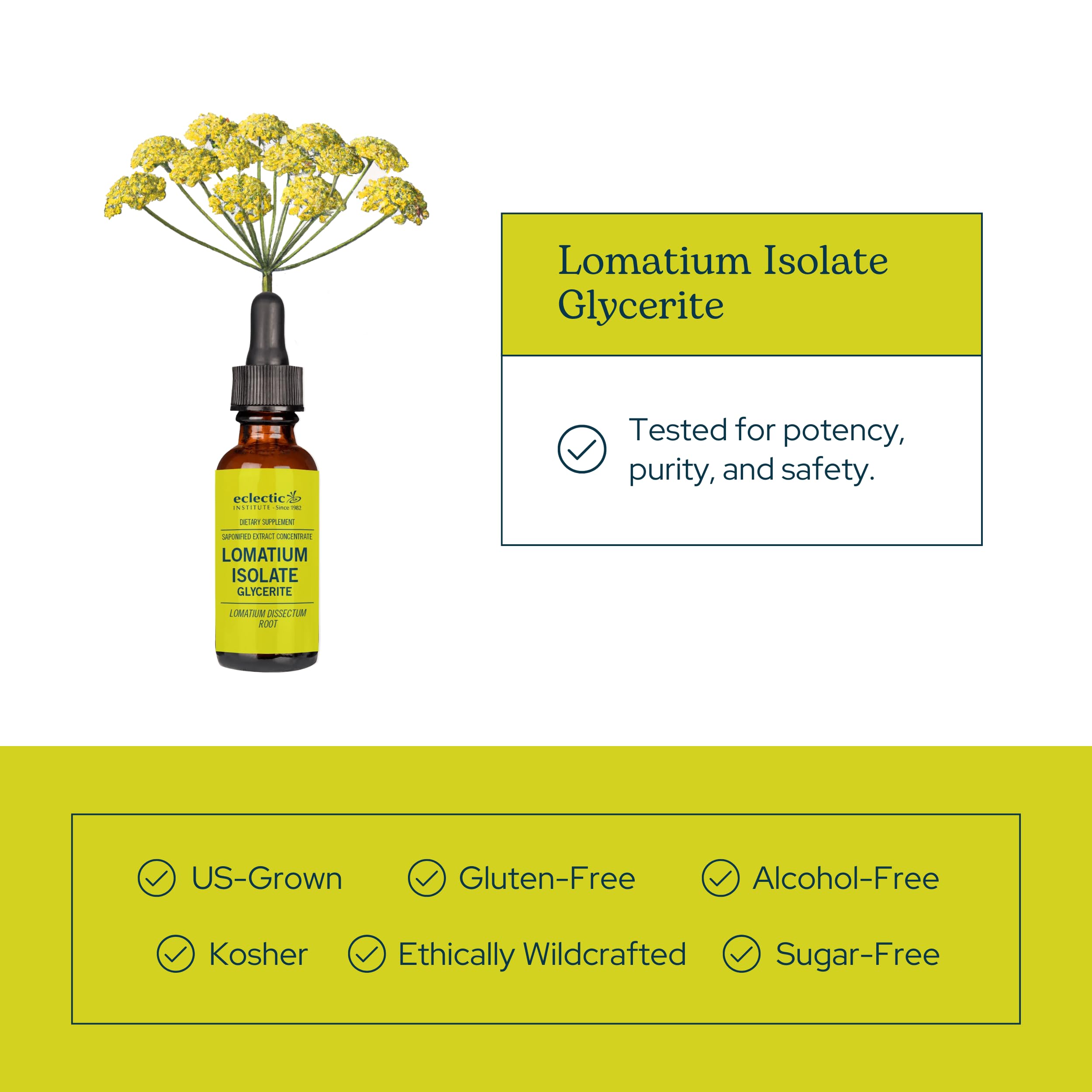 Eclectic Institute Lomatium Isolate Glycerite label shows organic vegan non-GMO credentials