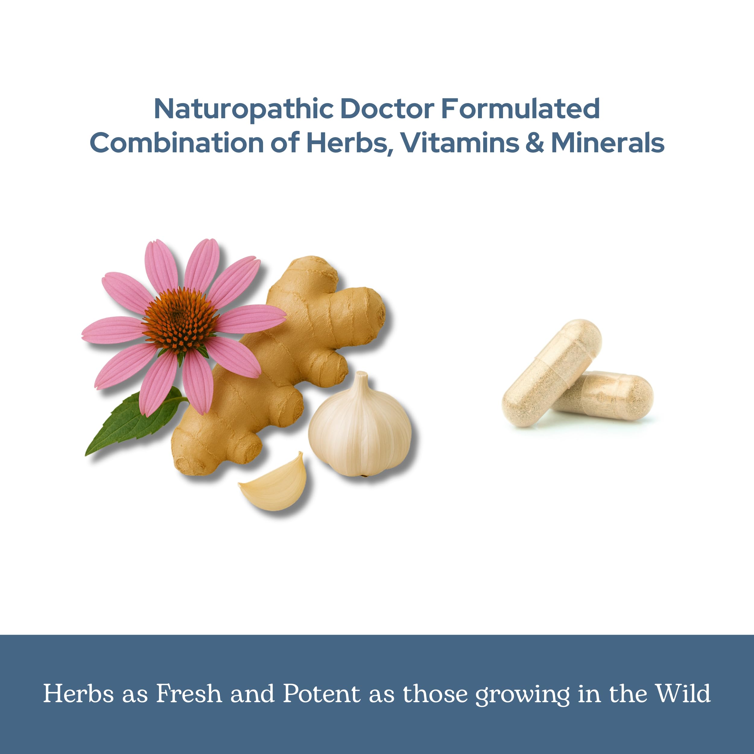 Oregon-grown herbs like echinacea and garlic in freeze-dried form.