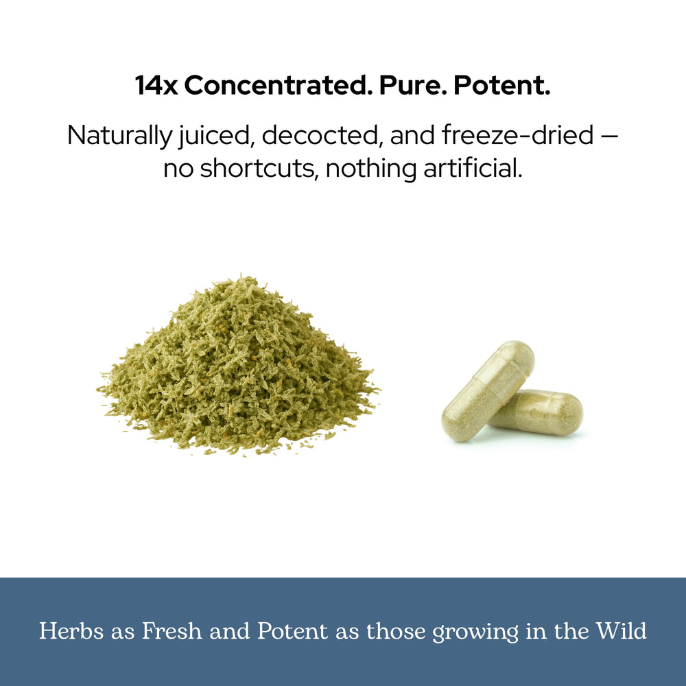 ECLECTIC INSTITUTE ParaFight capsules with glass of water for daily use.