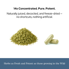 ECLECTIC INSTITUTE ParaFight capsules with glass of water for daily use.