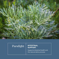 ECLECTIC INSTITUTE ParaFight label front with clear ingredients and vegan promise.