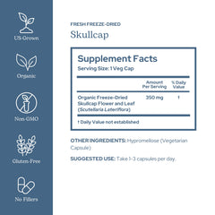 Eclectic Institute Skullcap capsules bottle on a shelf suggesting daily routine.