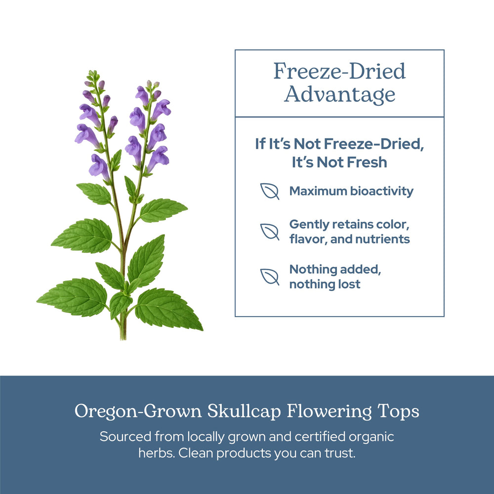 Eclectic Institute Skullcap capsules close-up shows smooth texture and quality.