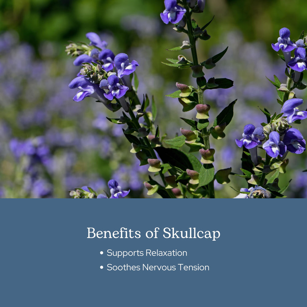 Eclectic Institute freeze-dried Skullcap preserves nutrients and potency.